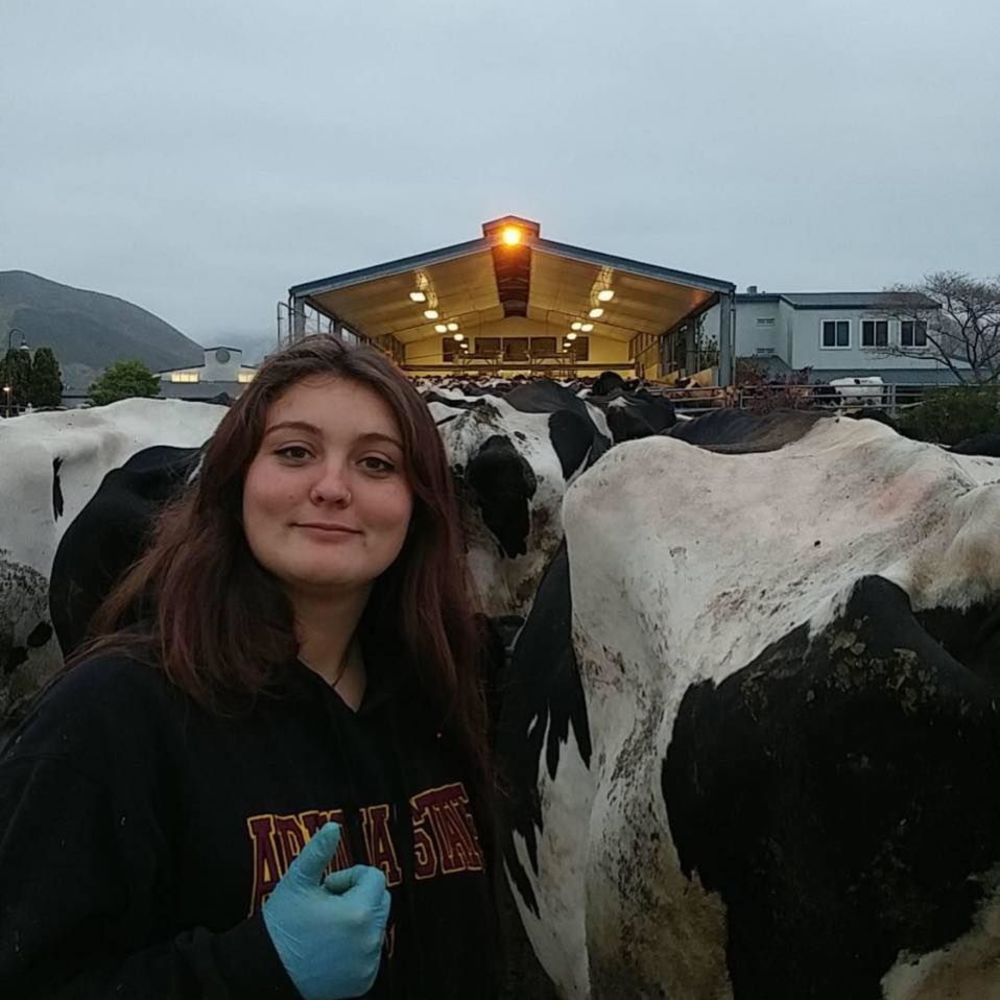 Meet your Posher, Summer